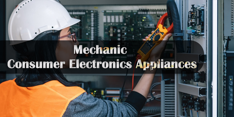 Mechanic Consumer Electronics Appliances CTS ITI Syllabus